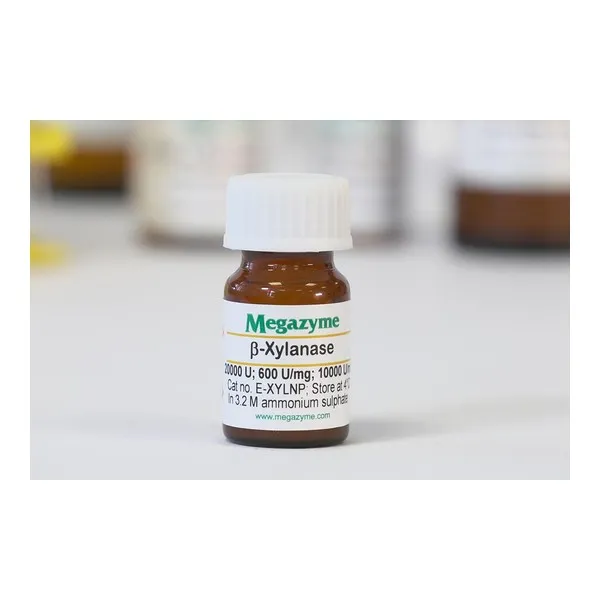 endo-1,4-β-Ksilanaz (N. patriciarum) · E-XYLNP