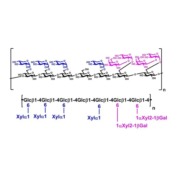 Ksiloglukan (Demirhindi) 3 g · P-XYGLN · Megazyme