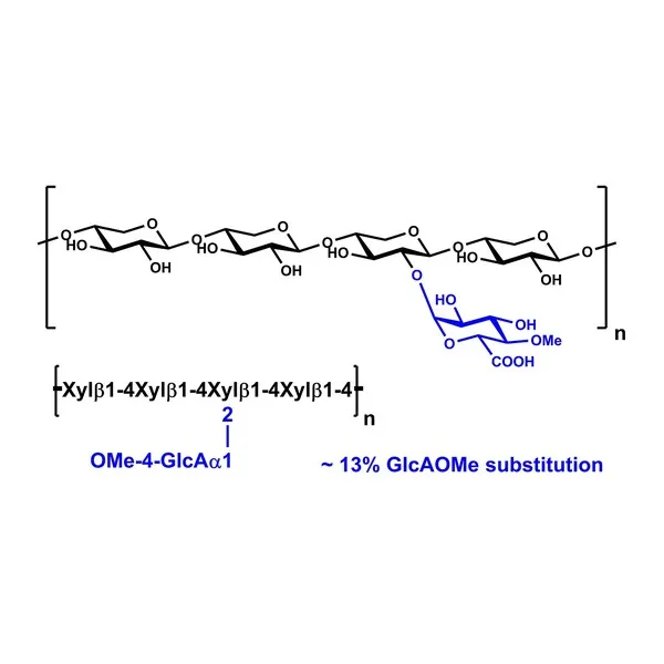 Ksilan (Beechwood, saflaştırılmış) 10 g · P-XYLNBE
