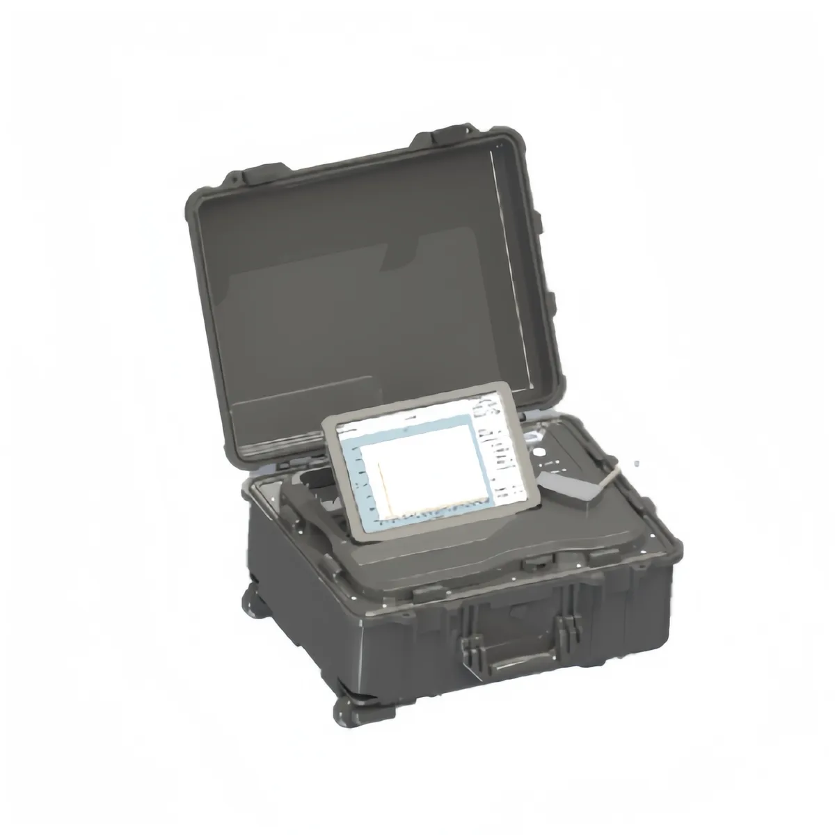 RS3200 Çift Dalga Boylu (Dual-wavelength) Raman Spektrometresi · Jinsp