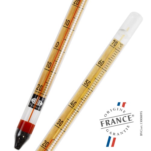 Dev (giant) vintage duvar termometresi — 7510.070-V3 · Alla France