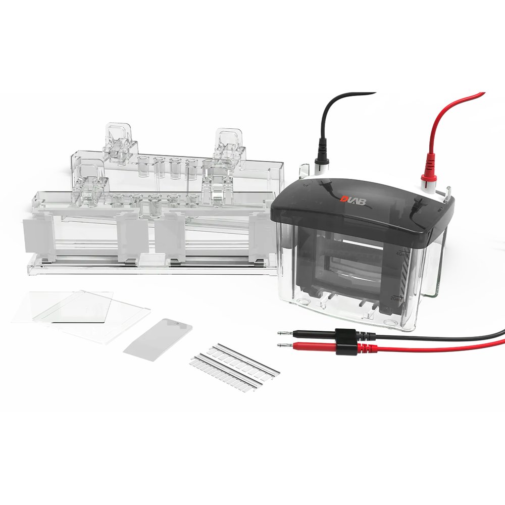 Dikey Elektroforez Tankı · Aynı Anda 4 Jel (8,3×7,3 cm) — DL-Mini04 · DLAB