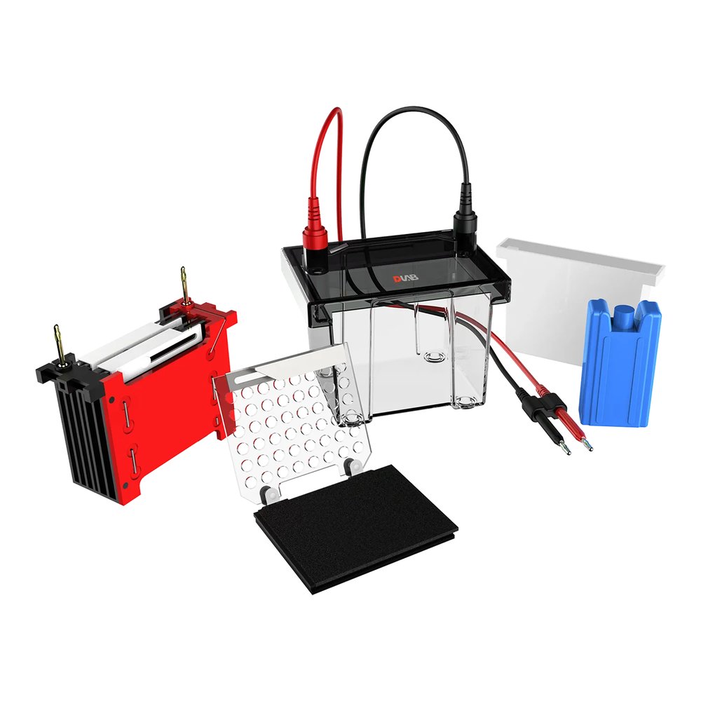 Transfer Elektroforez Tankı · Aynı Anda 2 Jel (8,3×7,3 cm) — DL-ZY02 · DLAB