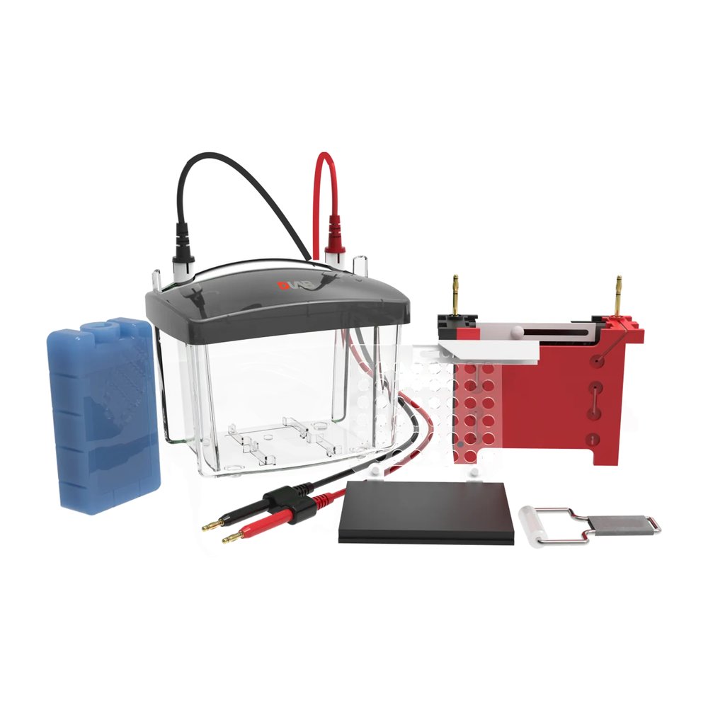 Transfer Elektroforez Tankı · Aynı Anda 2 Jel (8,3×7,3 cm) — DL-ZY03 · DLAB