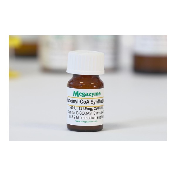 Enzim · Succinyl-CoA synthetase — E-SCOAS · Megazyme