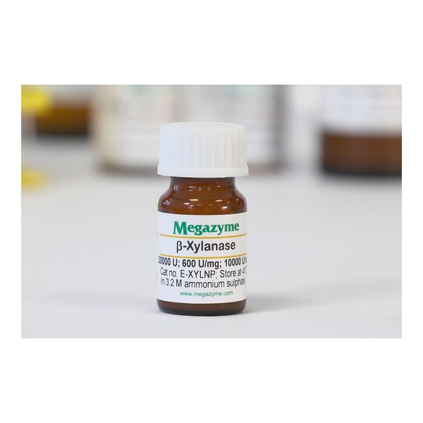 endo-1,4-β-Ksilanaz (N. patriciarum) · E-XYLNP