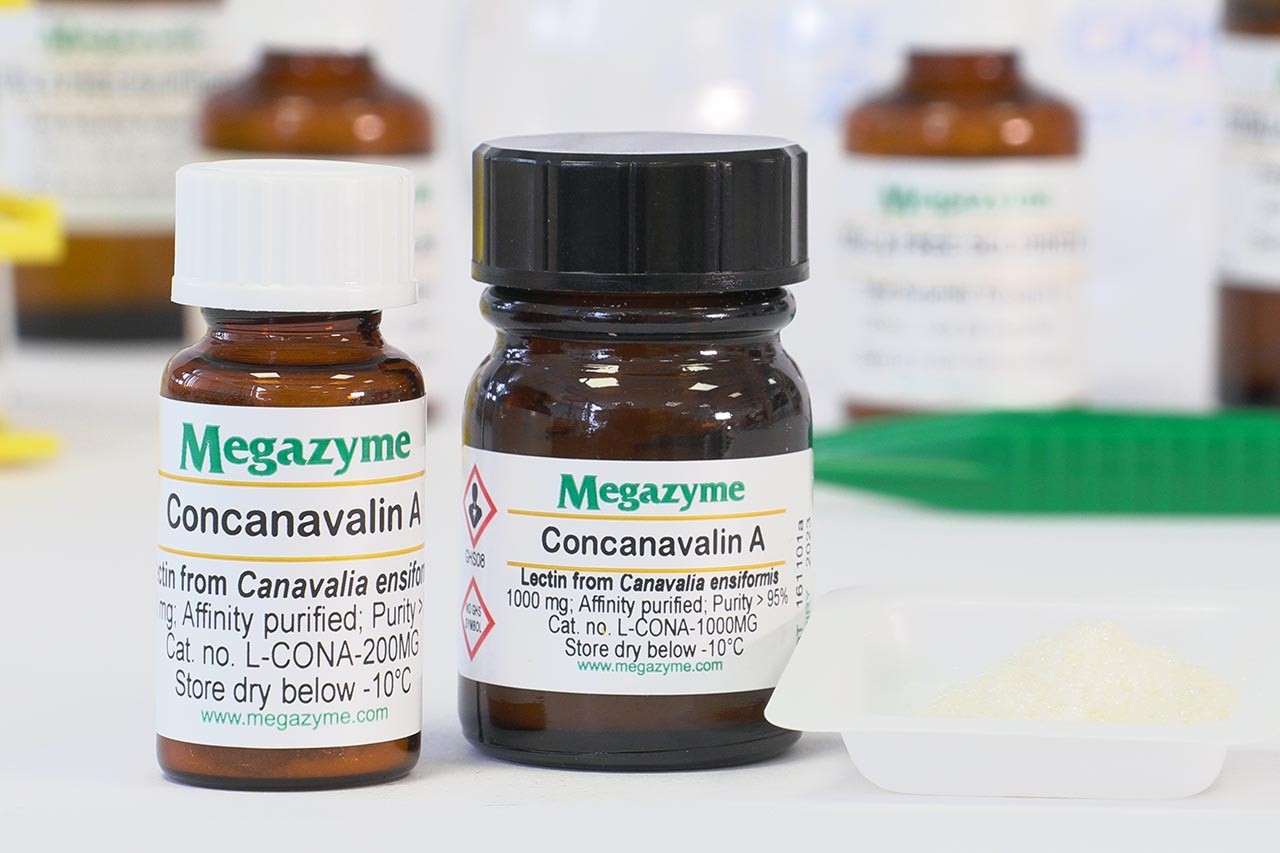 Reaktif / yardımcı malzeme · Concanavalin A (Con A) 1000mg — L-CONA-1000MG · Megazyme