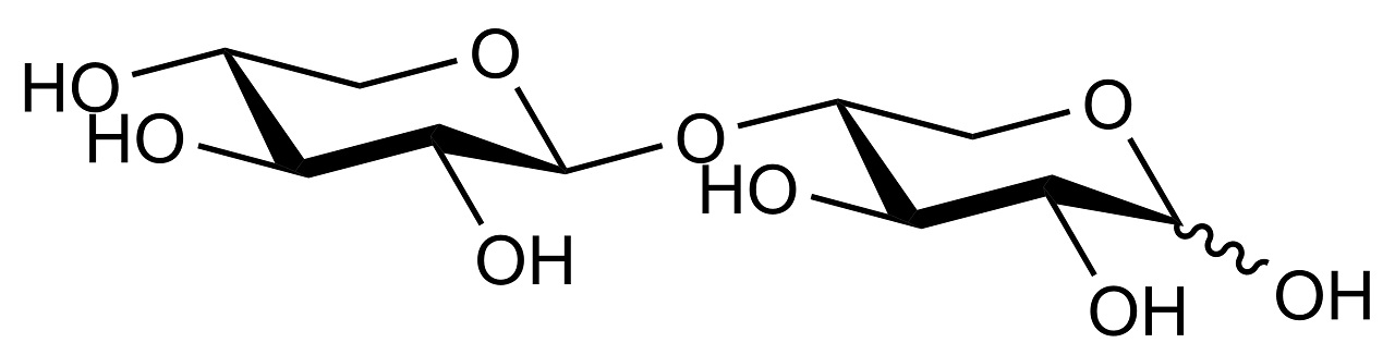 Oligosakkarit (standart/substrat) · Xylobiose - 50mg — O-XBI · Megazyme