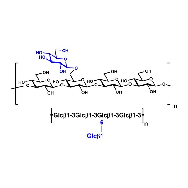 Polisakkarit (substrat/standart) · ß-Glucan (Yeast, Alkali Soluble) 2g — P-BGYST · Megazyme