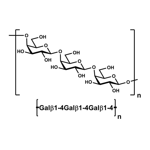 Galaktan (Patates) · P-GALPOT