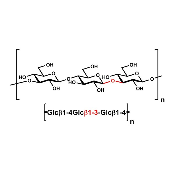 Polisakkarit (substrat/standart) · Lichenan (Icelandic Moss) 4g — P-LICHN · Megazyme