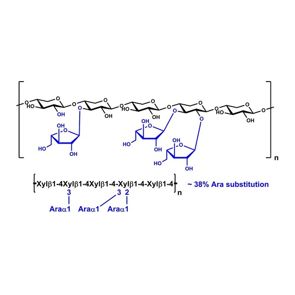 Polisakkarit (substrat/standart) · Arabinoxylan- Rye Flour 3g — P-RAXY · Megazyme