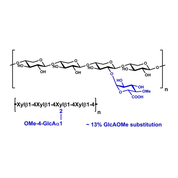 Ksilan (Beechwood, saflaştırılmış) 10 g · P-XYLNBE