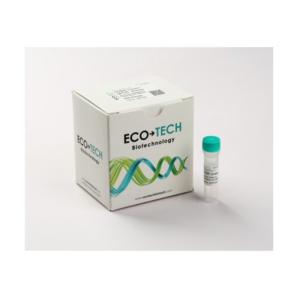 SYBR Green qPCR Testleri — Önceden Tasarlanmış Primer Çiftleri · ClearPeak