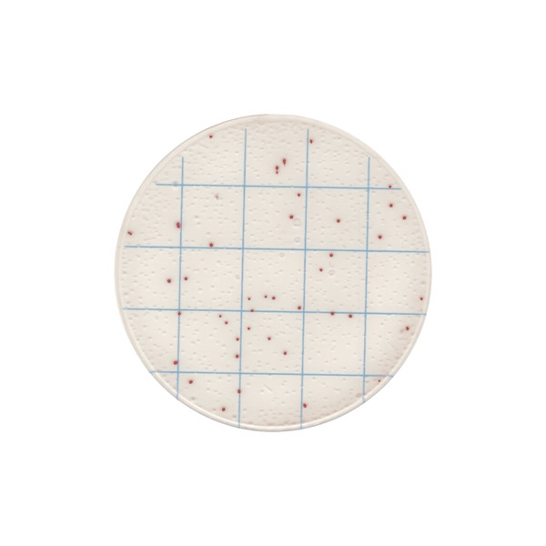 GVS Microbial Count Plate — Mikrobiyal Sayım Plakası