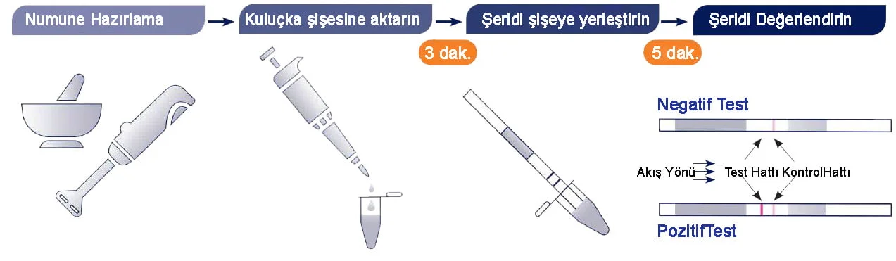 Hindistan Cevizi Test Kiti SENSIStrip Coconut LFD