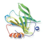 AgraQuant® Beta-Lactoglobulin Test Kiti 48 Kuyucuk
