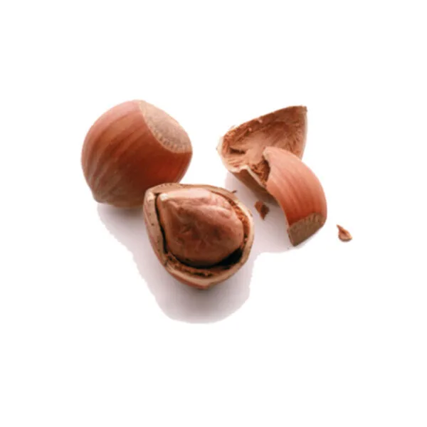 Allergen Strip Test Agrastrip® Fındık - 1 Kutu 10 Test