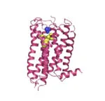 AgraQuant® Histamin Test Kiti 96 Kuyucuk