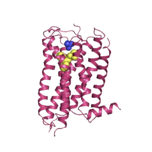 AgraQuant® Histamin Test Kiti 96 Kuyucuk