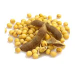 AgraQuant® Soya Test Kiti 48 Kuyucuk