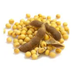 AgraQuant® Soya Test Kiti 48 Kuyucuk
