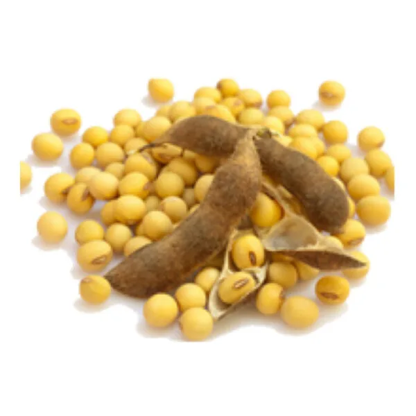 AgraQuant® Soya Test Kiti 48 Kuyucuk