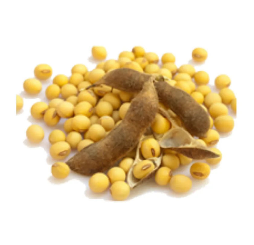 AgraQuant-Soya-Test-Kiti-48-Kuyucuk.jpg AgraQuant® Soya Test Kiti 48 Kuyucuk