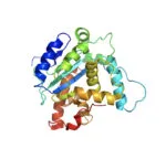 AgraQuant® Histamin Hızlı Test Kiti 48 Kuyucuk