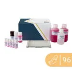 Brezilya Fındığı (Brazil nut) ELISA kiti SENSISpec 96 kuyucuk