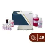 Ceviz ELISA kiti SENSISpec 48 kuyucuk