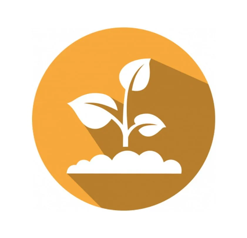 GMOIdent-RT-iPCR-LR-OXY-235-Kanola.jpg GMOIdent RT UMM Event RF3 Rapeseed
