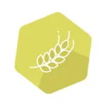 Gluten R5 ELISA kiti SENSISpec INgezim