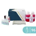 Kazein ELISA kiti SENSISpec 96 kuyucuk