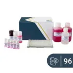 Ovalbumin ELISA kiti SENSISpec 96 kuyucuk