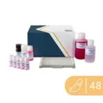 Brezilya Fındığı (Brazil nut) ELISA kiti SENSISpec 48 kuyucuk