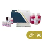 Hardal ELISA kiti SENSISpec 96 kuyucuk