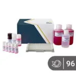 Hindistan Cevizi ELISA kiti SENSISpec 96 kuyucuk