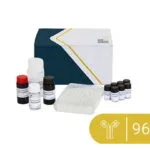 Celer® AFLA B1 ELISA Kiti - Aflatoksin B1 Test Kiti