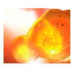 LC MS/MS Standartları Mix-10 (13C Fusarium Toxins) in A