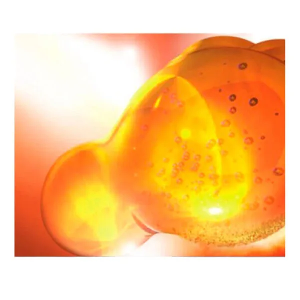 LC MS/MS Standartları Mix-10 (13C Fusarium Toxins) in A