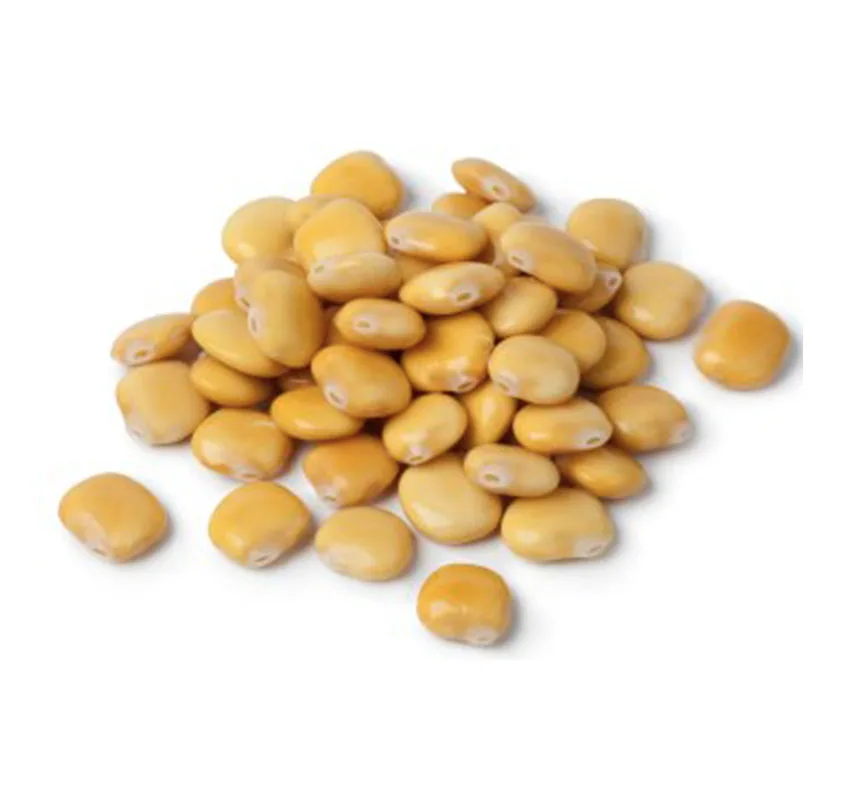 Allergen Strip Test Agrastrip® Lupin - 1 Kutu 10 Test