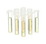 Mini Flip-Top™ 3M™ Tamponlu Pepton Suyu