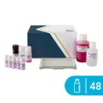 Beta-Lactoglobulin ELISA kiti SENSISpec 48 kuyucuk