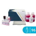 Beta-Lactoglobulin ELISA kiti SENSISpec 96 kuyucuk