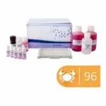 SENSISpec ELISA Kabuklular (Tropomyosin) Alerjen 96 Kuyucuk