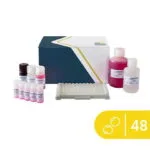 Lupin ELISA kiti SENSISpec 48 kuyucuk