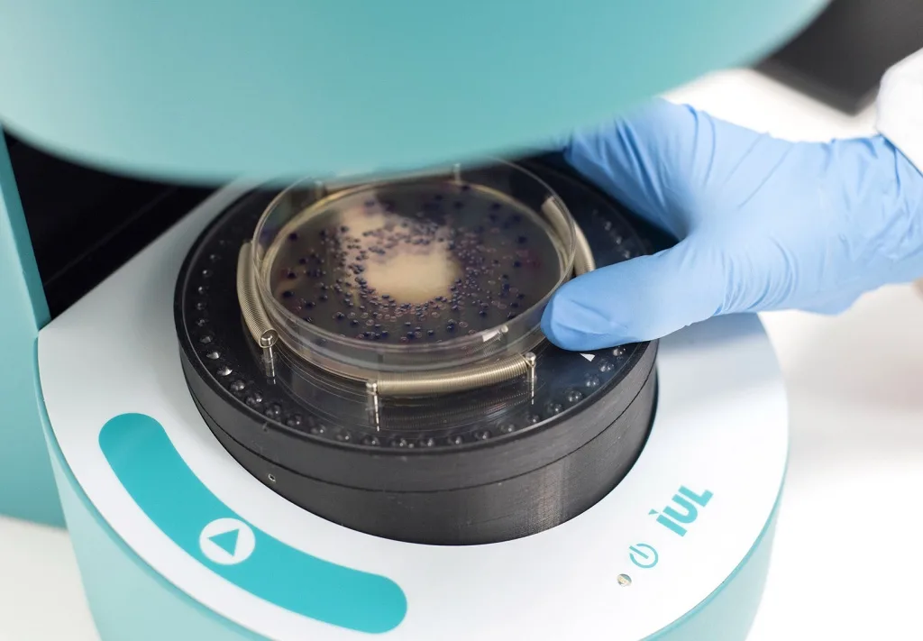 IUL SphereFlash® Automatic Colony Counting System - Image 4