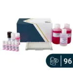 Yumurta ELISA kiti SENSISpec 96 kuyucuk