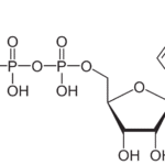 D-Fructose, Reagent Grade, >99%, 500G | BioShop FRC180